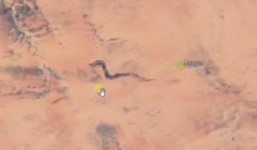 Clip: Kinh ngạc phát hiện 'hóa thạch rồng' giữa sa mạc châu Phi