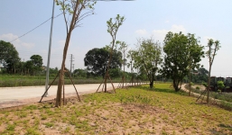 Khu an táng thi hài cố Tổng Bí thư Đỗ Mười đã được hoàn tất