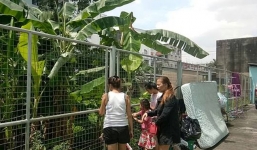 Tàu lá chuối cứu mạng bé sơ sinh bị mẹ ném từ tầng 5 xuống