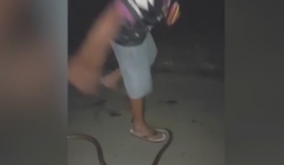 Mạo hiểm bắt rắn độc bằng tay không, người đàn ông bị cắn vào chân