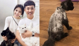 Vợ chồng Trấn Thành và chuyện gây cười về con mèo ngoại giá 3000 USD bị cạo trụi lông
