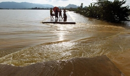 Vĩnh Long: Vỡ đê bao, nhiều xã tỉnh chìm trong biển nước