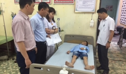 Vụ 352 học sinh nhập sau bữa ăn: Truy xuất, kiểm tra cơ sở giết mổ cung cấp thịt gà