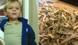 1 phút táy máy, con trai bỏ luôn tiền tiết kiệm trả nợ của bố mẹ vào máy xén giấy