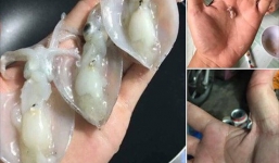 Mua mực quảng cáo to bằng bàn tay, anh chàng nướng xong thì mực teo bằng hạt đậu, mất luôn hứng nhậu