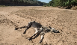 Cảnh báo: Thế giới chỉ còn 12 năm để ngăn chặn thảm họa biến đổi khí hậu