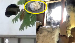 Vật thể lạ khổng lồ chưa xác định bất ngờ đâm thủng tường nhà dân ở Mỹ