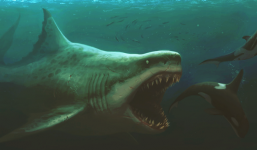 Bí ẩn lớn nhất của siêu cá mập Megalodon, cỗ máy săn mồi thống trị đại dương, sắp sáng tỏ?