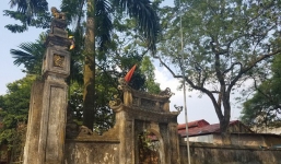 Thông tin mới vụ người dân xin bán đấu giá “cụ sưa” trăm tỷ