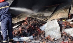 Hỏa hoạn thiêu rụi kho thanh long 260 tấn ở Bình Thuận