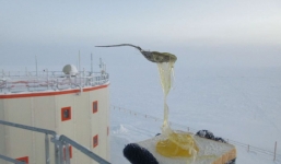 Điều gì sẽ xảy ra khi bạn nấu ăn ở Nam Cực với nhiệt độ ngoài trời là -70 độ C?