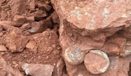 Phát hiện hàng chục quả trứng khủng long có từ 145 triệu năm trước