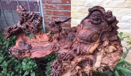 Chuyên gia giải mã nguyên nhân khiến gỗ sưa có giá “trên trời”, đại gia săn lùng