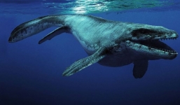 Mỹ: Bất ngờ tìm thấy thủy quái 85 triệu tuổi