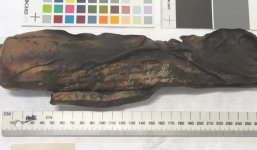 Sử dụng máy chụp cắt lớp, các nhà nghiên cứu đọc được cả văn tự cổ 500 năm đã bị cháy sém