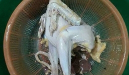 Đăng bức ảnh bóc mẽ vợ không biết làm gà, anh chồng 'đỏ mặt' khi bị chị em phát hiện ra sự thật