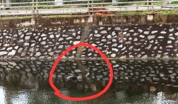 Cả trăm người kéo ra xem người đàn ông chết nổi trên hồ