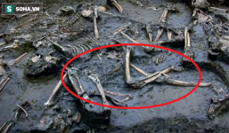 Cạm bẫy chết người trong mộ cổ, trong đó có tiết lộ về 'thứ bảo vệ' lăng Tần Thủy Hoàng