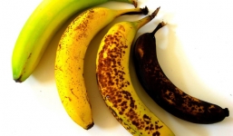 Vì sao ăn chuối chưa chín kỹ lại gây hại sức khỏe: Ăn chuối chín cỡ nào là tốt nhất?