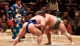 Gian nan vất vả đằng sau ánh hào quang của các võ sĩ Sumo - môn võ được kính trọng bậc nhất tại Nhật Bản