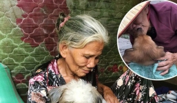 Bà lão trong bức ảnh 'hôn tạm biệt cậu Vàng trước khi bán' chia sẻ lý do nói không đúng sự thật về gia cảnh của mình