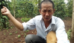 Quảng Trị: Kẻ gian lẻn vào chuồng cắt 4 chân bò trong đêm