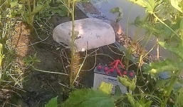 Nam thanh niên chết tức tưởi vì chính bẫy chuột bằng điện của mình