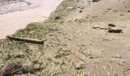 Con tử vong, cha mất tích sau lũ quét ở Hà Giang