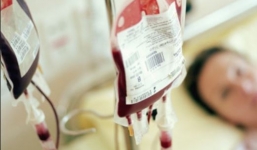 “Cò máu” hoạt động ngang nhiên tại Bệnh viện Việt Đức: Giám đốc BV lên tiếng