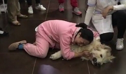 Trung Quốc: Cô gái trẻ ôm chó gào khóc thảm thiết vì vừa đưa từ Mỹ về đã bị hàng xóm đánh bả chết