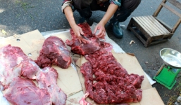 Lai Châu: Mổ trâu liên hoan nhà mới, 42 người nhập viện