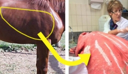 16 hình ảnh cho thấy còn quá nhiều điều trên thế giới mà chúng ta chưa biết