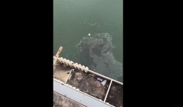 Tai nạn giao thông kinh hoàng ở Trung Quốc