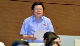 ĐBQH: Tại sao giá xe không giảm dù thuế nhập khẩu ô tô đã giảm về 0\%?