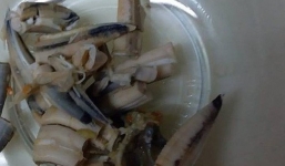 Bà nội nấu cháo cho cháu thả cả 'thứ vứt đi' này vào, hội chị em tranh cãi về lý do thật đằng sau