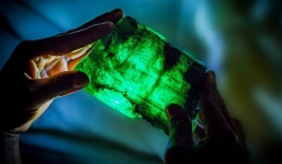 Đào được viên ngọc lục bảo to như quả dứa nặng 1,1kg