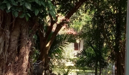 Biệt phủ trái phép của đại gia vàng ở Đà Nẵng: Chủ tịch phường nói 'tháo dỡ xong'