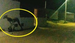 Phát hiện sinh vật 'nửa người nửa chó' khiến dân Anh kinh hãi