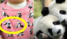 Mua áo hồng hình có gấu trúc đáng yêu cho con, bà mẹ phát hoảng bắt con cởi ra ngay lập tức khi nhìn kỹ