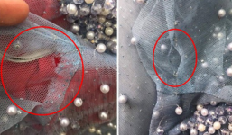 Bỏ 500k mua váy cưới với quảng cáo 'mới 95\%', cô nàng than thở nhận hàng cũ nát, dân mạng chỉ ngay lý do