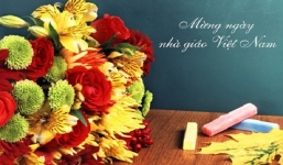 40 lời chúc 20/11 ngày Nhà giáo Việt Nam hay và ý nghĩa nhất 