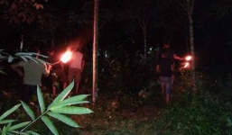 Đàn voi rừng 5 con tiến sát nhà, người dân thắp đuốc canh