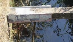 Mới nhất vụ bò của lão nông trượt ngã lộ 'cây tầm bậy bọc bê tông'