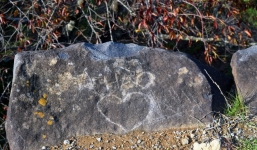 Người khắc chữ 'A.HÀO' lên di tích quốc gia Nhật Bản có thể đối mặt án 5 năm tù và nộp phạt 60 triệu đồng