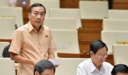ĐBQH: “Hàm tướng có cần số lượng nhiều như thế hay không?'