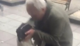 Video: Xúc động chú chó 'bật khóc' gặp lại chủ sau 3 năm thất lạc