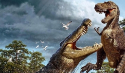 Lực cắn giúp khủng long bạo chúa hạ gục con mồi 5 tấn dễ như ăn kẹo