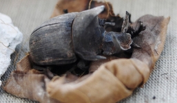 Thế giới 24h: Phát hiện mẻ xác ướp lạ bên trong khu mộ cổ ở Saqqara