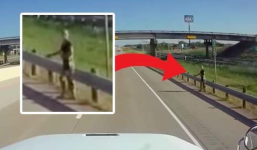 'Người ngoài hành tinh' đổ bộ xuống Trái Đất, xin quá giang trên cao tốc