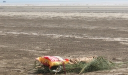 Kinh hãi phát hiện thi thể cô gái trẻ ở bờ biển Nghệ An